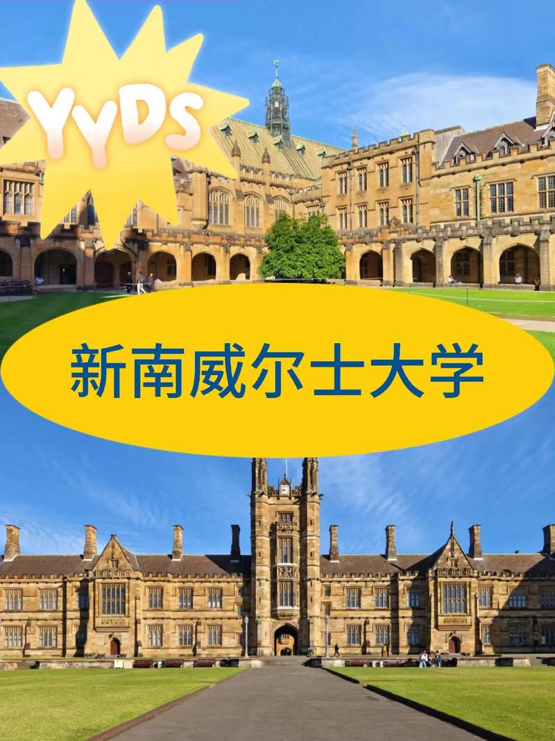 新南威尔士大学相当于国内什么大学-图1