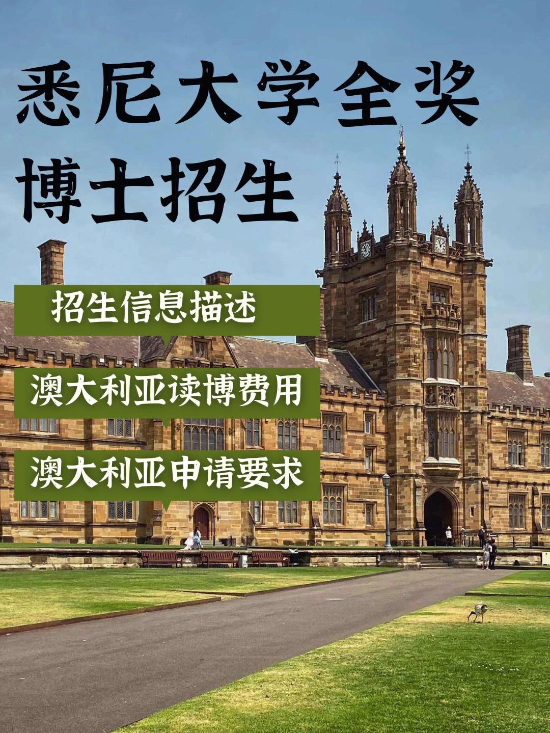 悉尼大学国内认可吗？含金量高吗？-图1