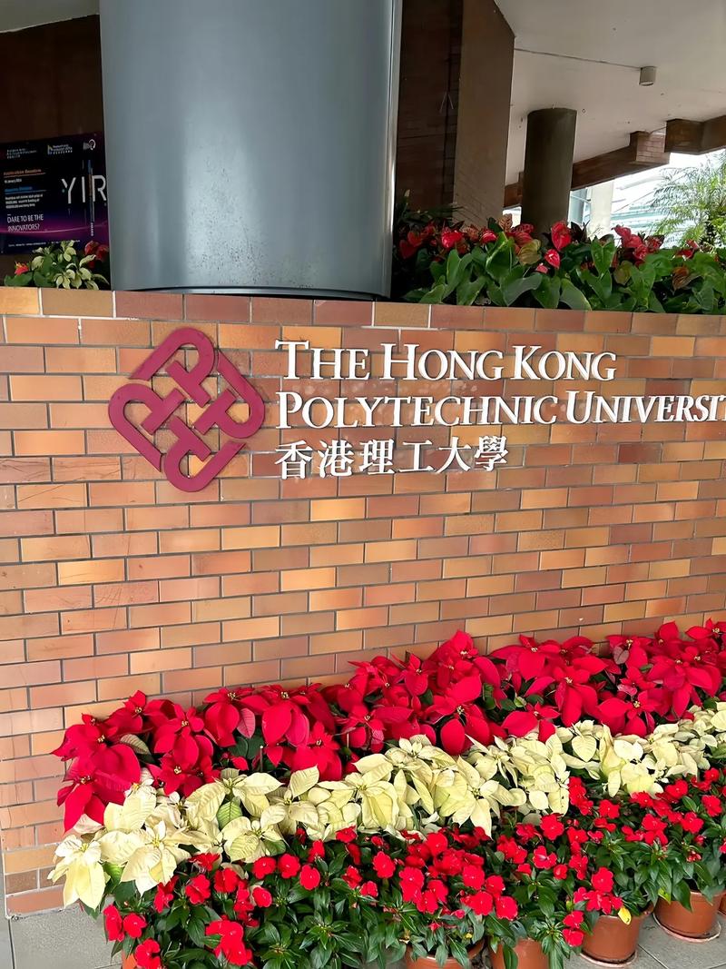 国内认可香港理工大学吗-图1