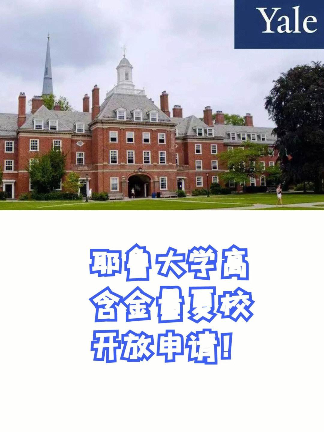 耶鲁大学国内认可吗？含金量高吗？-图1