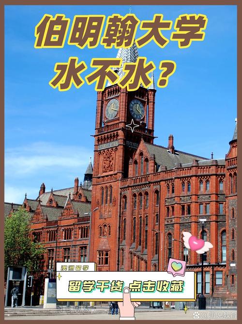 伯明翰大学是水硕吗-图1