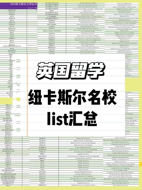 纽卡斯尔大学国内认可吗？含金量高吗？-图1